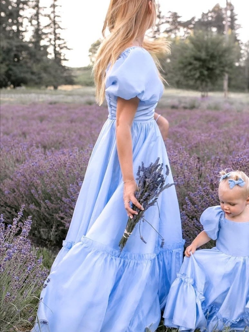 Ivy City Co Blue Wonderland Dress Cinderella Cosplay Cottagecore RARE HTF - Picture 2 of 11